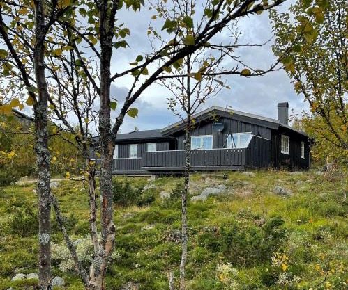 Cabin In Uvdal With A View Ski-Inout