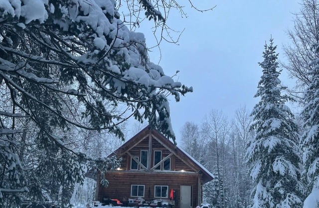 Cabin in Williams MN. 10 miles to Lake of the Woods. Near Baudette and Warroad.