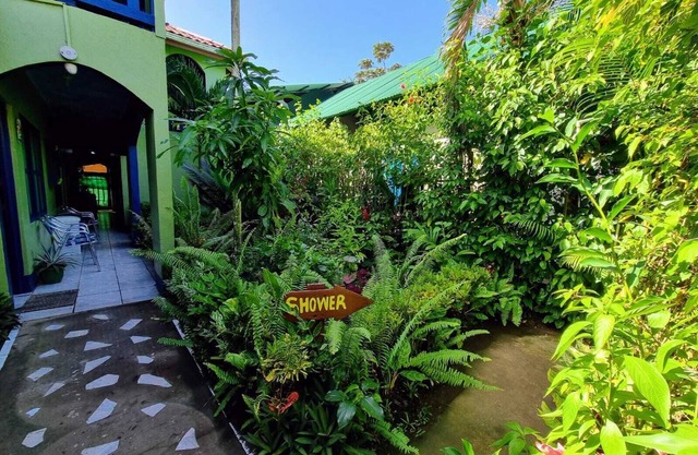 Cabinas Tortuguero Natural