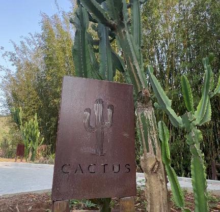 Cactus Cabana