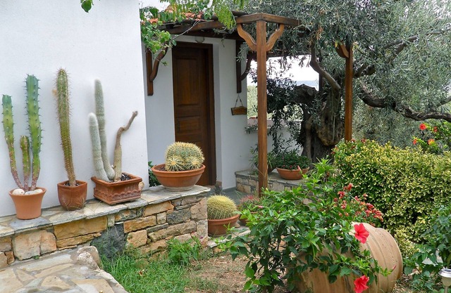 CACTUS - Flower Houses in Alonissos island