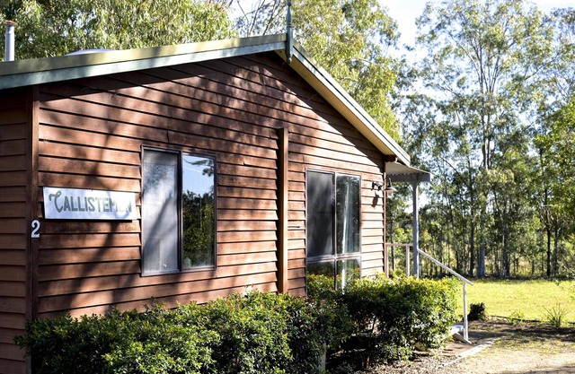 Callistemon Cabin 2 - 2 bedroom with 1 x queen and 1 King or 2 king singles + sofa bed