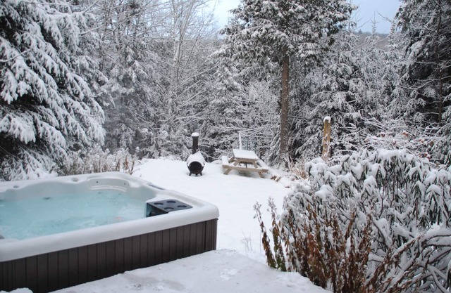 Calm and Nature Chalet