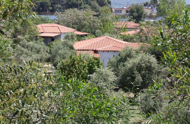 Calm located, amid an olive grove, close to the beach, wifi | holiday house Ilia