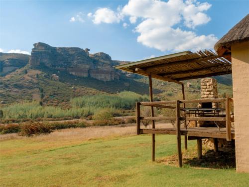 Camelroc Guest Farm