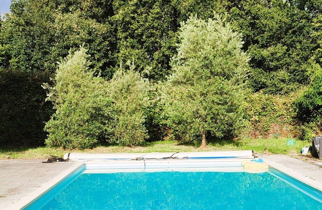 Camping 5 min Carhaix. Vieilles Charrues and other festivals. shuttle included
