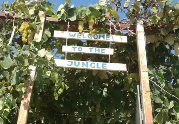 Camping Jungle in Borsh