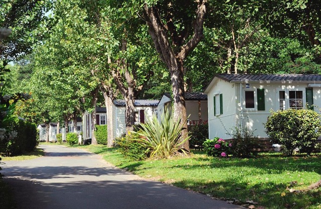 Camping ZELAIA