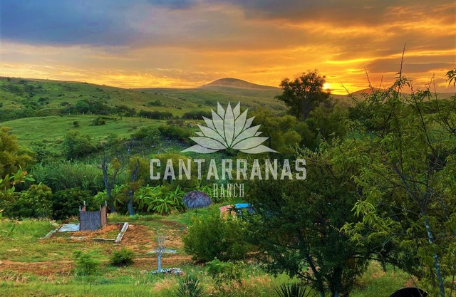 Cantarranas Ranch
