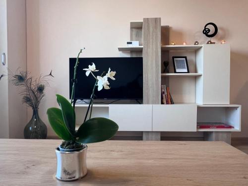 Cappuccino apartment
