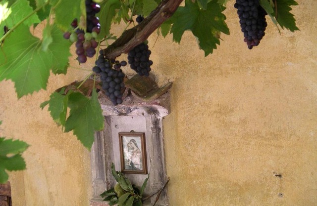 Casa 1659 - Casa Parrucchiere