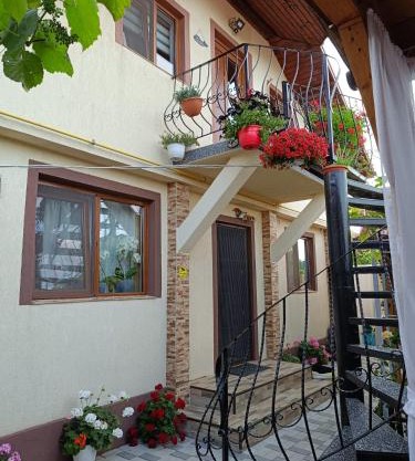 Casa Bianca si Andrei