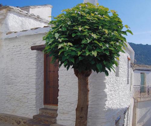 Casa El Rincón del Ángel