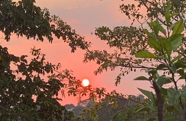 Casa em chácara com muito verde! Fácil acesso!