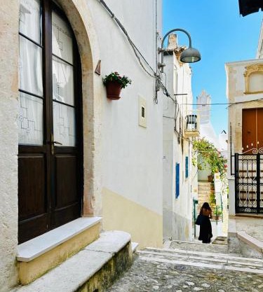 Casa Habibi