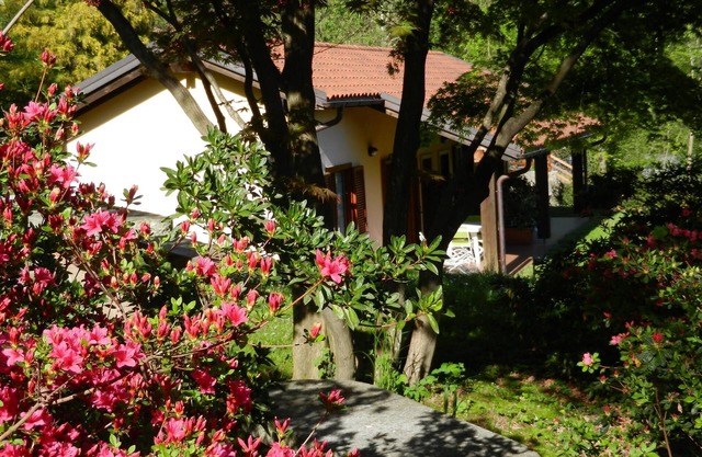 Casa Luciana, Mergozzo Lake, Nature+Lake+Mountain