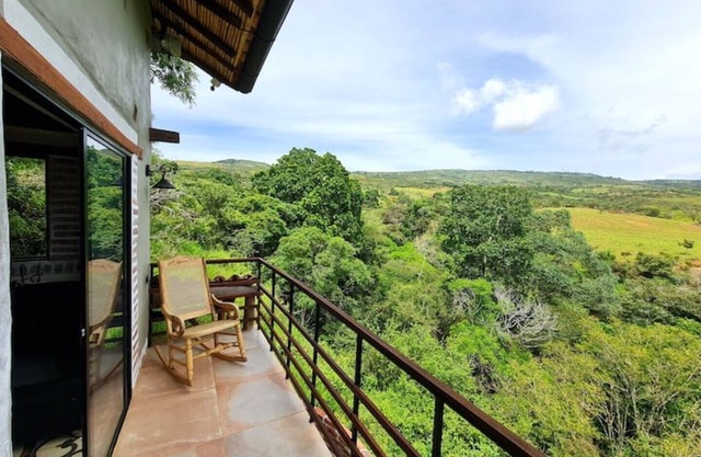 Casa Pájaro, birdwatching in native forest