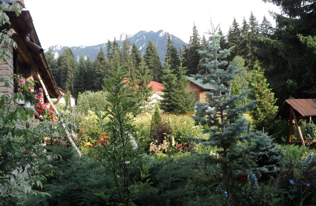 Casa Serban