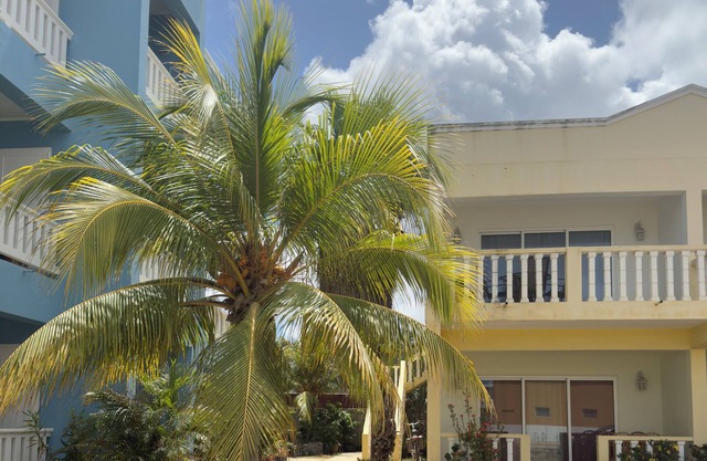 Casa Sirena – New Oceanview Near Top Dive Boats & Water Taxi ~ October 17 Avail