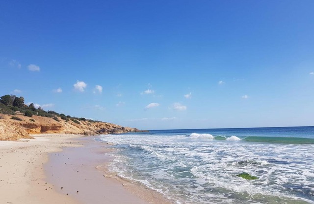 Casa vacanza - Pinus Village Casa margherita a Pula-Chia - a 350 m reali dal mare