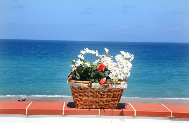Casa Vacanze a soli 50 mt dal mare con terrazzo vista mare.