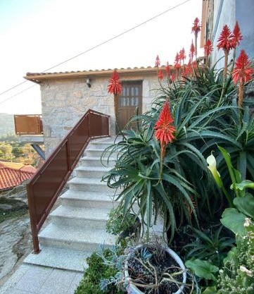 CasaBruno