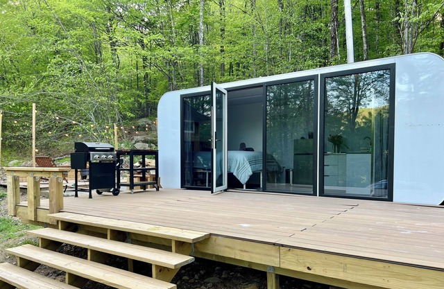 Catskills Cabin-Grill, Fire Pit & Pet-Friendly