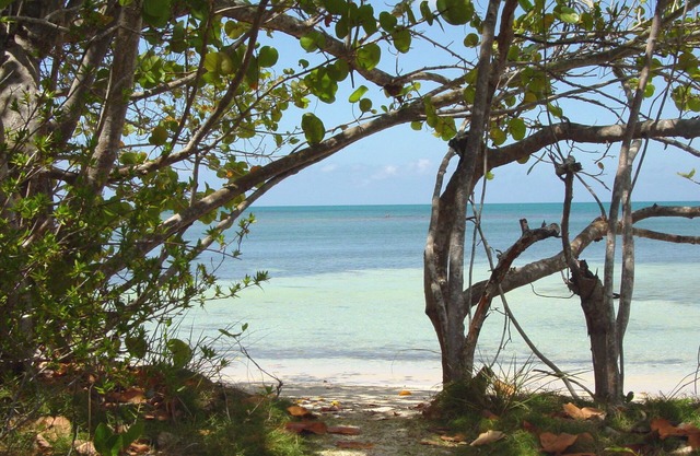 Cayo del Sol -Your gateway to tranquility and beach bliss. 3bdr/2bath near Buye
