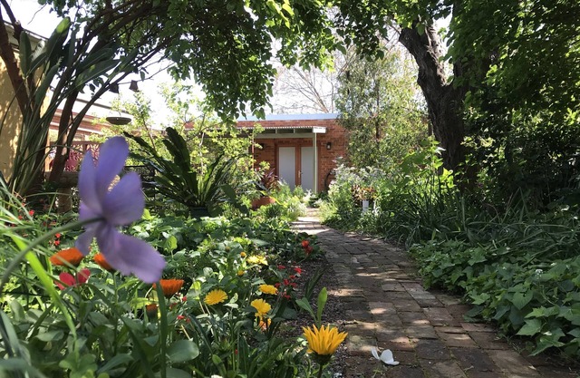 CBD luxury - near cafes, parks & art. Free bikes