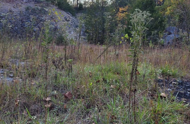 Celtic Glen Farm Stay - Quarry Siten