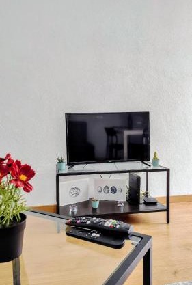 central apartment
