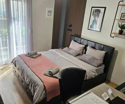 central modern apartment 3A