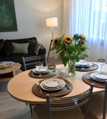 Central Park Apartment Birštonas