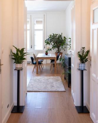 Central Szeged Apartment
