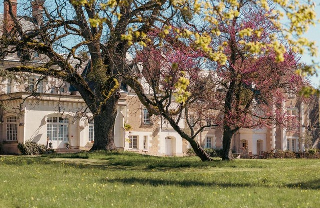 Château De Razay