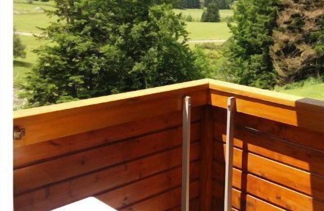 Chalet au Pied du Pic du mid sur le Lac de Payolle
