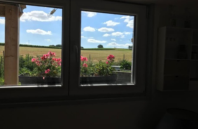 Chalet bois proche de la Dordogne, Eymet a 5 km