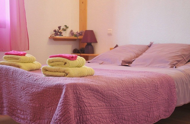 CHALET DE LA YODINE - GITE 27 PEOPLE IN SAVOY - TARENTAISE VANOISE Bedroom 8