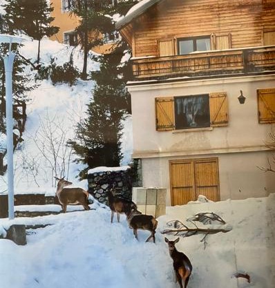 CHALET FAMILIAL AURON