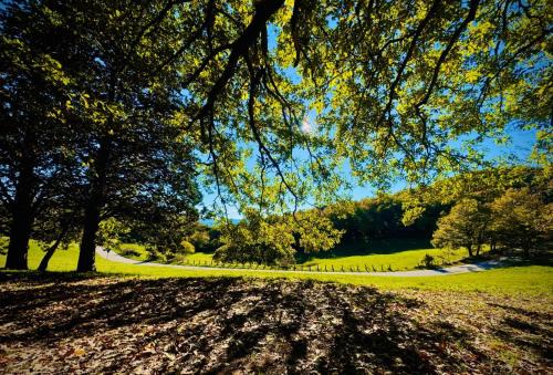 Chalet Monte Alago - Baita in Umbria