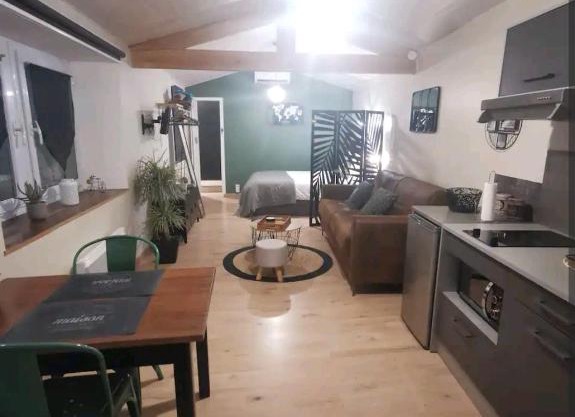 Chaleureux Studio de 35m2