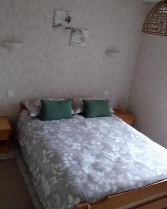Chambre lit double, Salon, cuisine, jardin