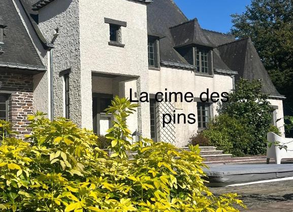 chambres d'hôtes, La cime des pins