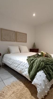 Charmant et élégant appartement