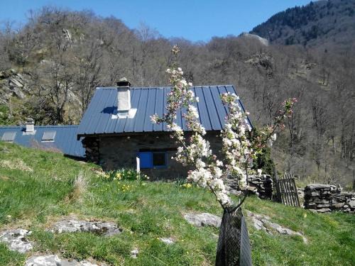 Charme authentique d'une cabane de montagne