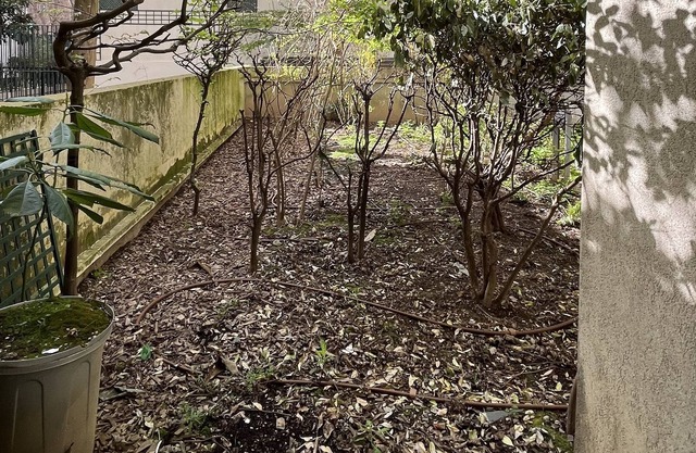 Charme Paris Beaugrenelle Jardin Privé Avec Parking Pour 4