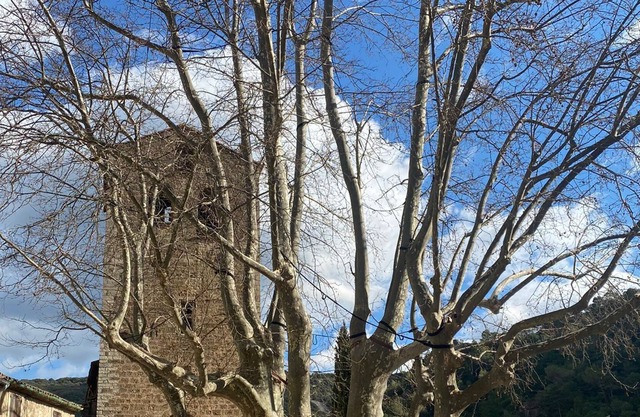 charming studio in the heart of Herault.