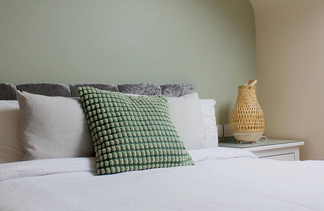 Charming 1-Bed loft in Caerleon