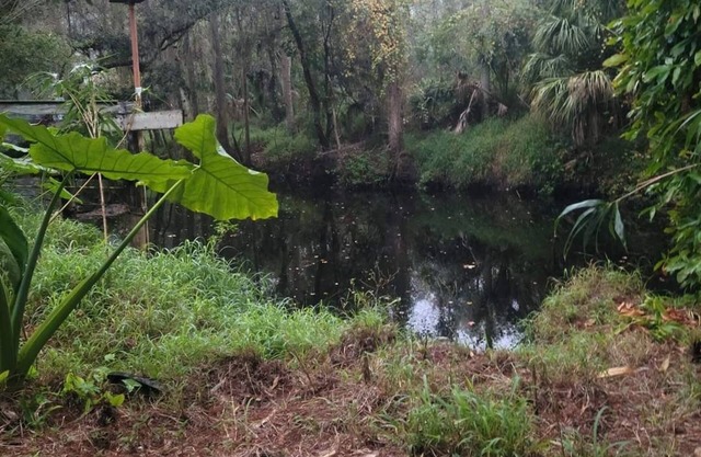 Charming 2-bedroom hunker bunker. great wildlife