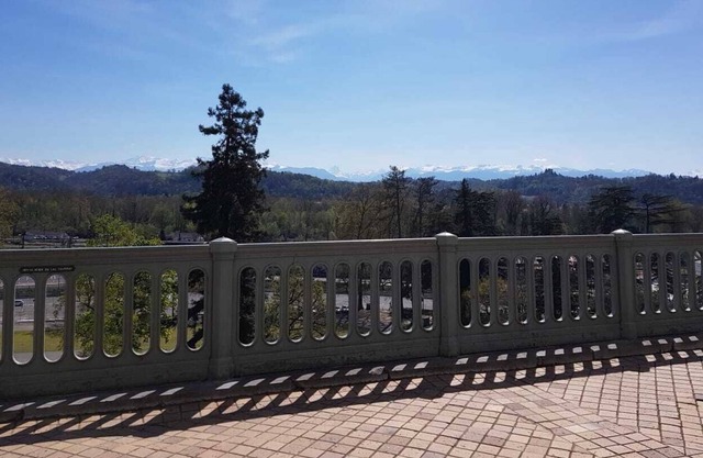 Charming apartment in the heart of Pau